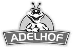 Camping & bungalowpark Adelhof in Vledder